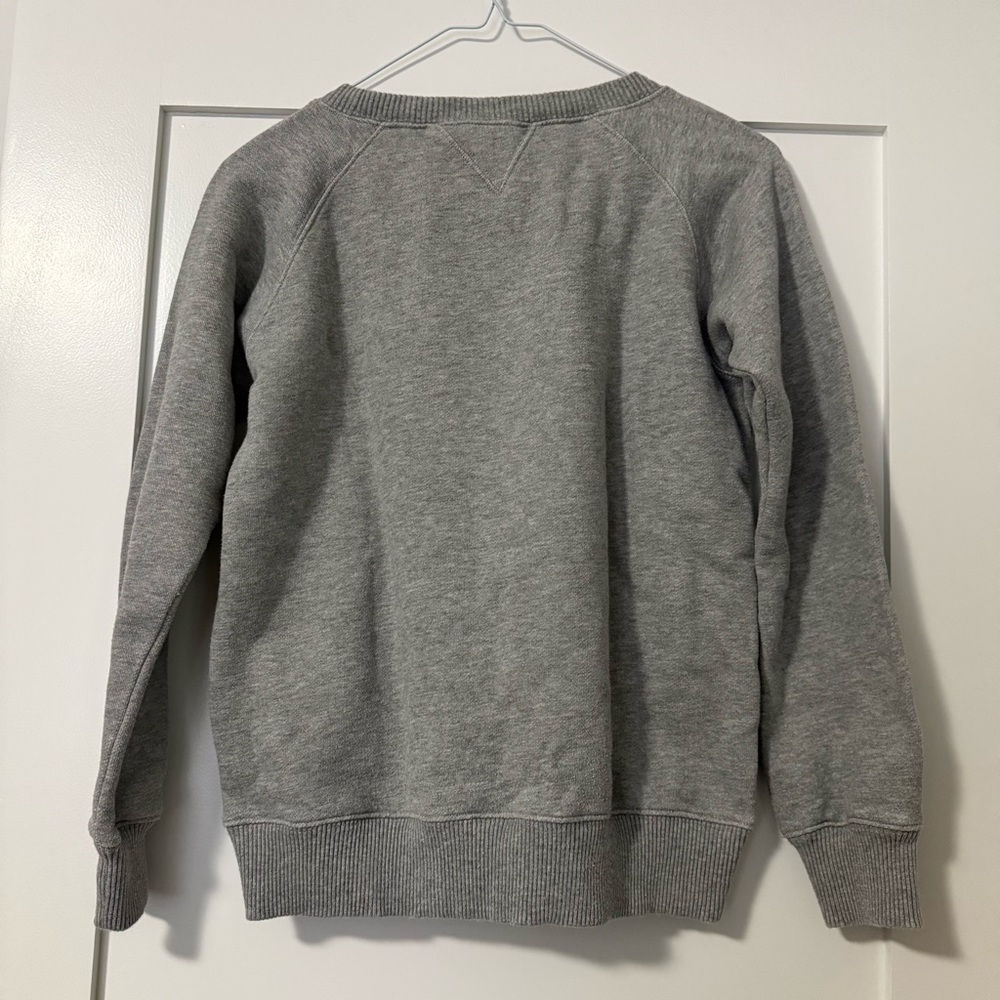 Agnes B. Sport b. Gray Dinosaur Graphic Crewneck - Picture 2 of 8